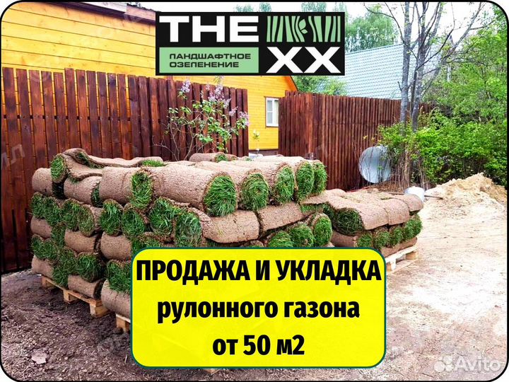 Рулонный газон. Продажа и Укладка