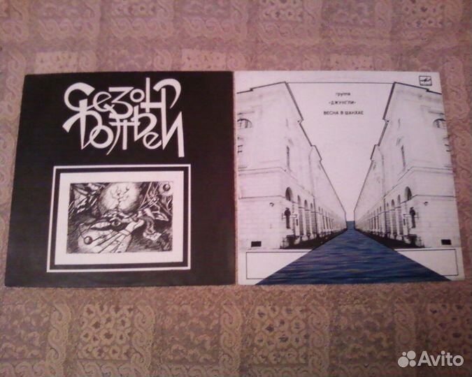 Аквариум, Настя, Джунгли и другое