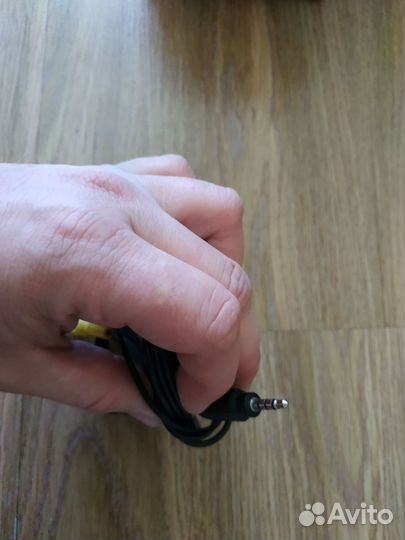 Тюльпаны провода