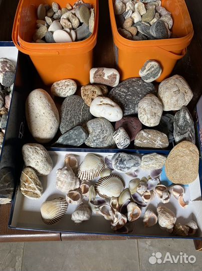 Для аквариума камни ракушки морские