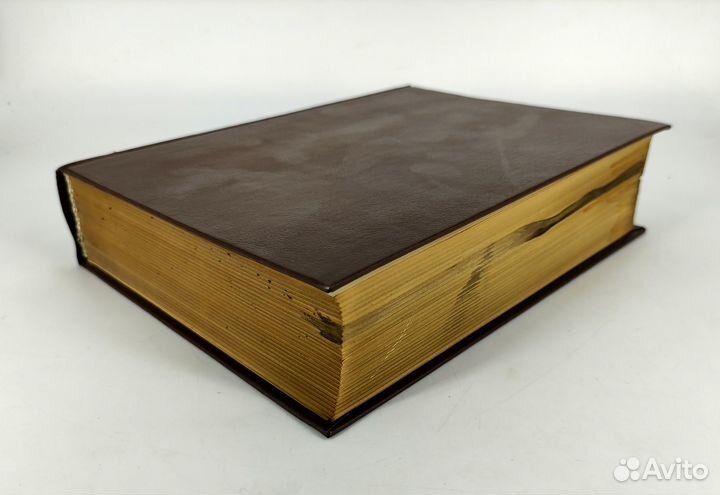 Новый англо-русский словарь. Мюллер, Дашевская