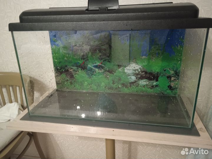 Аквариум