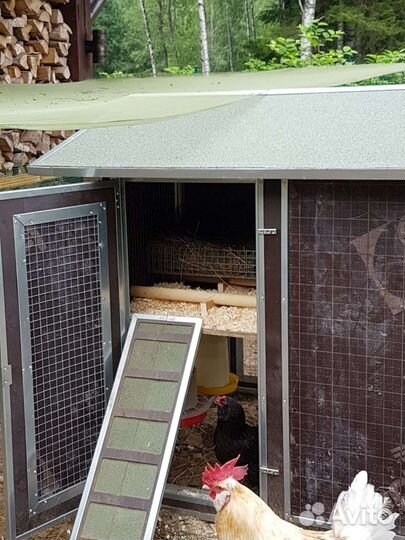 Домик для кур