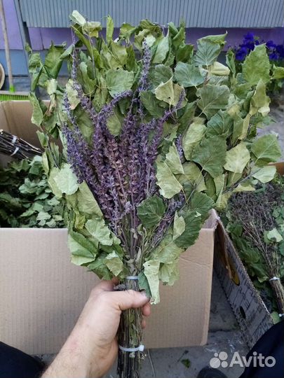 Веник берёзовый