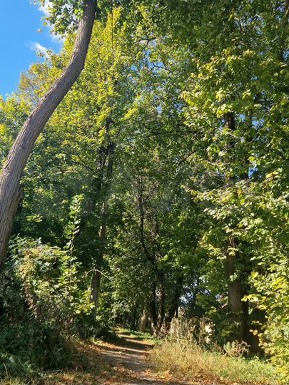 Дом 140 м² на участке 7,5 сот.