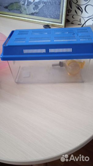 Предметы для хомяка