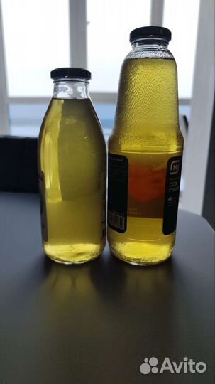 Винный гриб