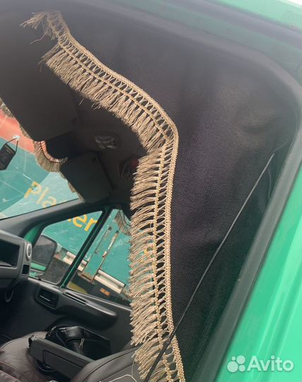 Ламбрекены Газель