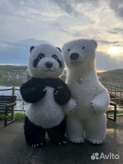 Панда поздравление