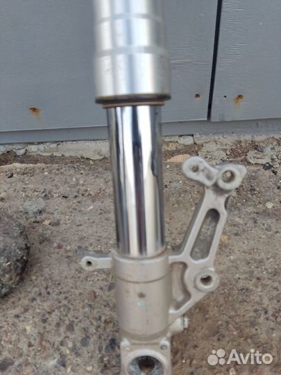 Перо на Сузуки