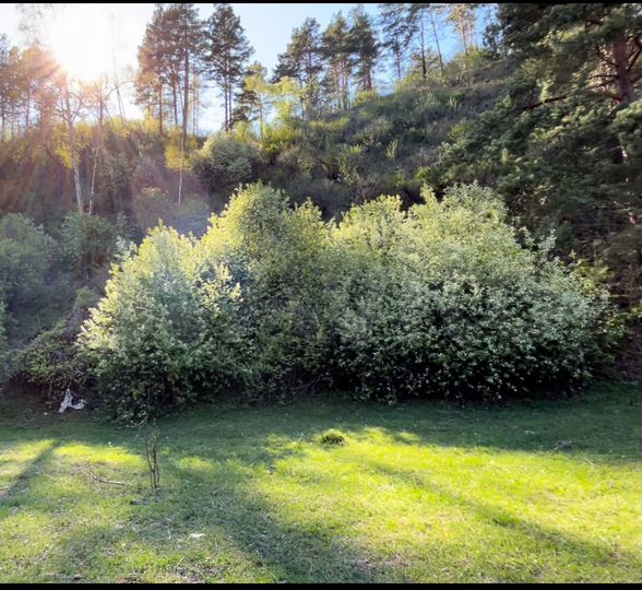 Участок 9 га (СНТ, ДНП)