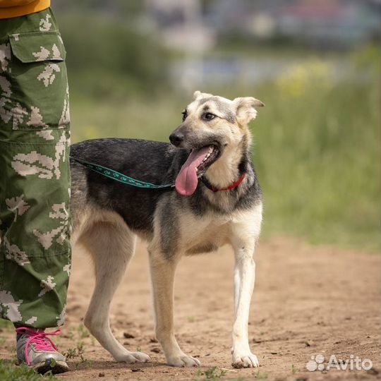 Хлоя: девочка, которая мечтает