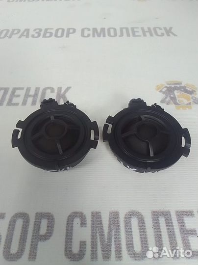 Динамик высокочастотный Audi A6 C6