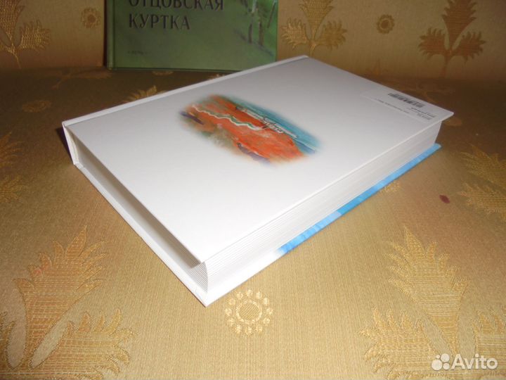 В.Осеева Динка худ. А.Власова + Отцовская куртка