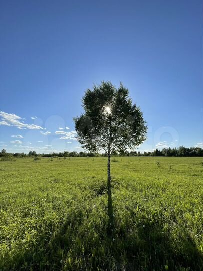 Участок 8,61 га (СНТ, ДНП)