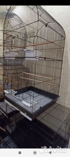 Клетка новая для среднего или крупного попугая