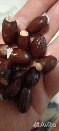 Семена Личи