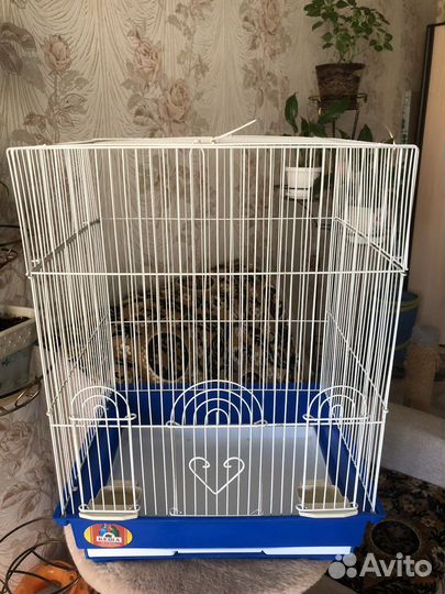 Клетка для птиц бу