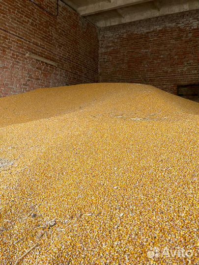 Зерно для животных и птиц