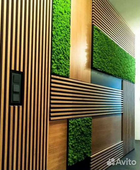 Мох ягель, пласт, кочка, фито панели