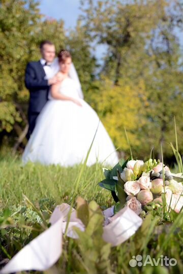 Фотограф. Видеооператор