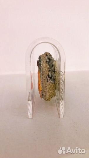 Берлинская стена