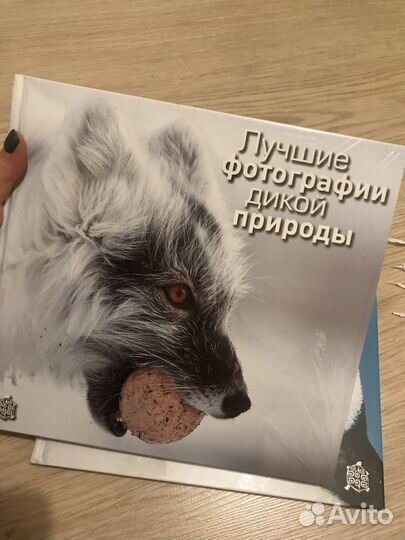 Лучшие фотографии дикой природы фотоальбом