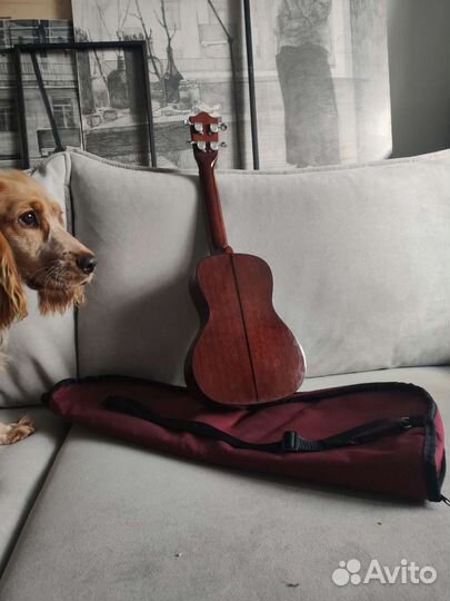 Укулеле концерт