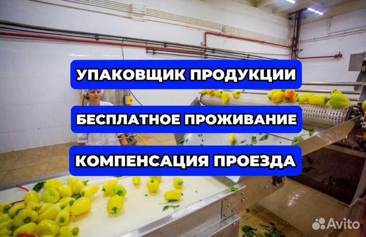 Фасовка+Еженедельный аванс-Работа рядом