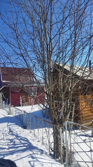 Дача 40 м² на участке 7 сот.