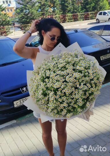 Ромашки Сочи