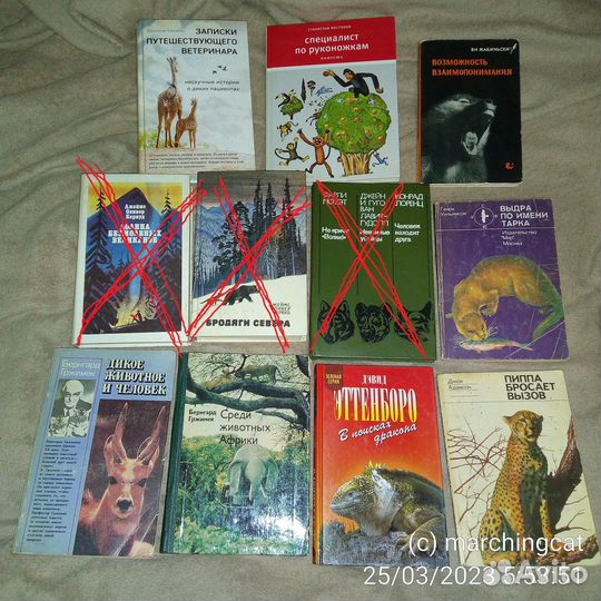8 книг о животных