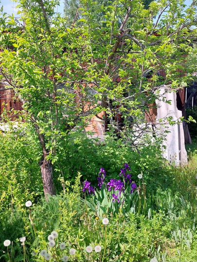 Дача 20 м² на участке 7,5 сот.