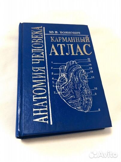 Атлас карманный анатомия человека