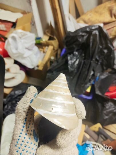 Ракушка перламутр