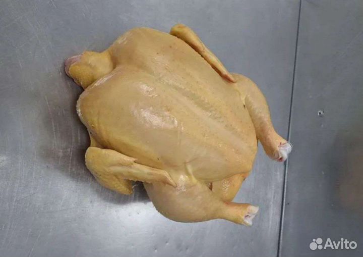 Мясо домашнего бройлера