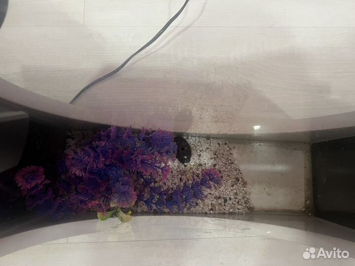 Аквариум aquatlantis