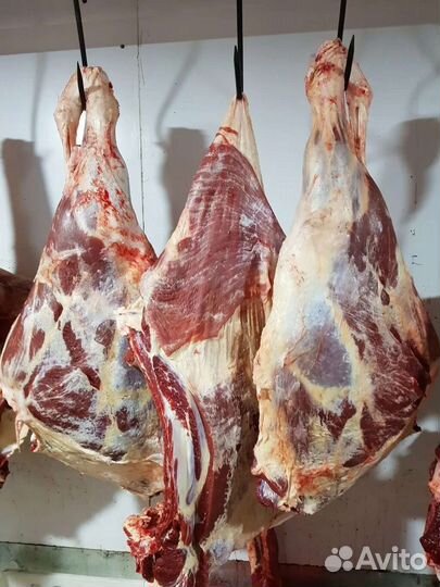 Мясо говядина и баранина