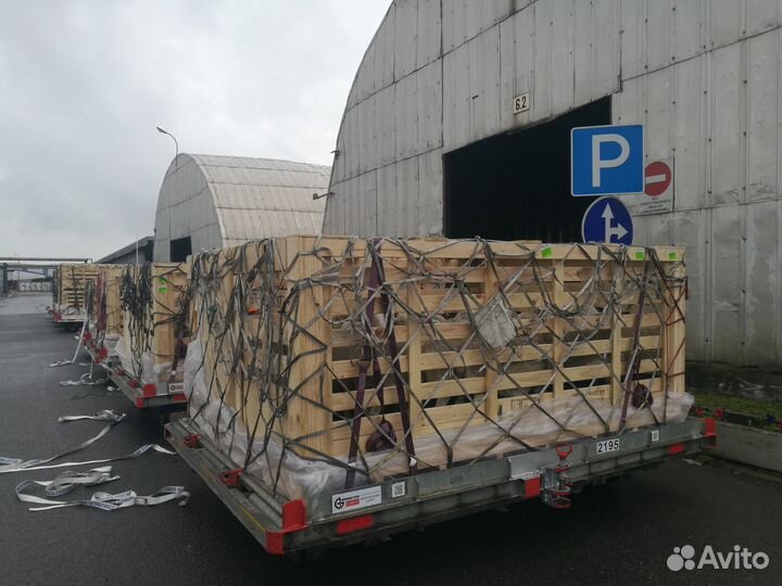 Племенные козы и овцы оптом из Европы