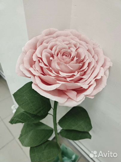 Ростовые Цветы. Большие цветы. Цветы высотой 1м