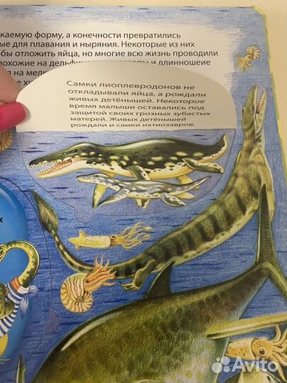 Динозавры детская энциклопедия с окошками