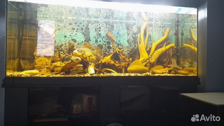 Продам аквариум вместе с тумбой