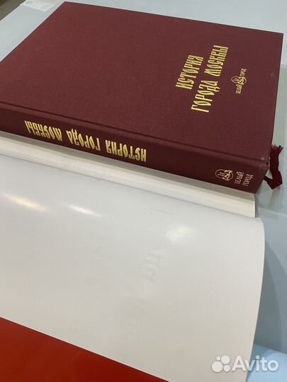 История города Москвы (футляр): Иван Забелин