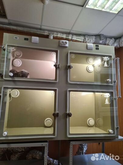 Передержка для животных с карантином и мед.уходом