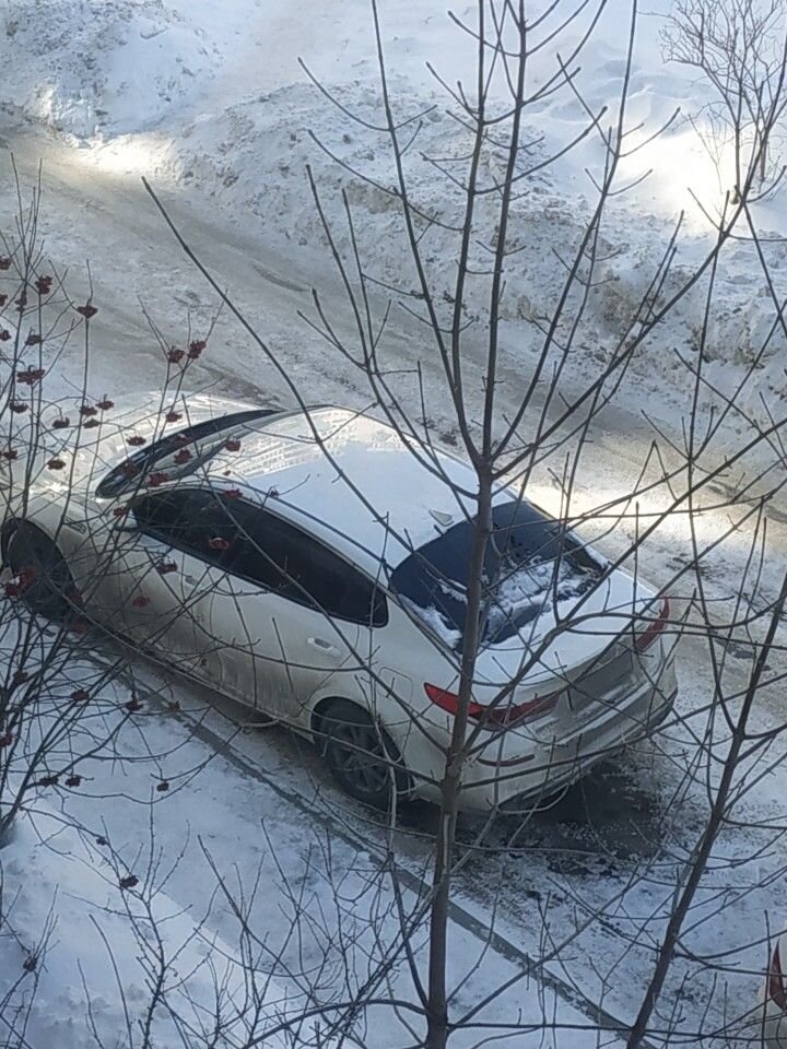 Kia Optima: фото владельца