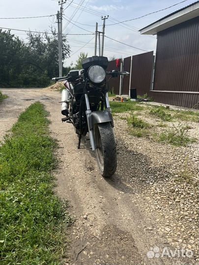 Omaks 250