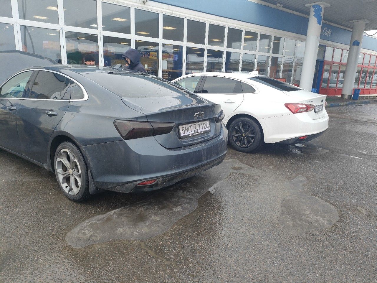Chevrolet Malibu: фото владельца