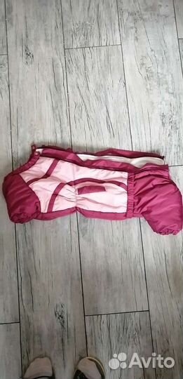 Зимний комбинезон для таксы