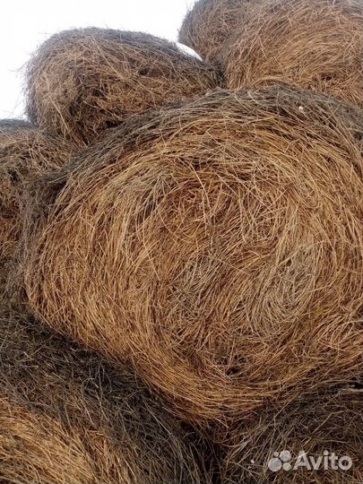 Сено в рулонах