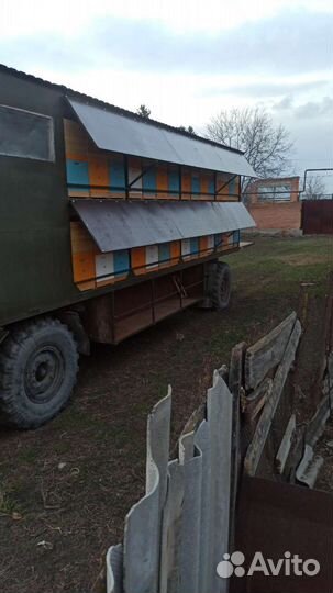 Пчелы. Пчелоприцеп